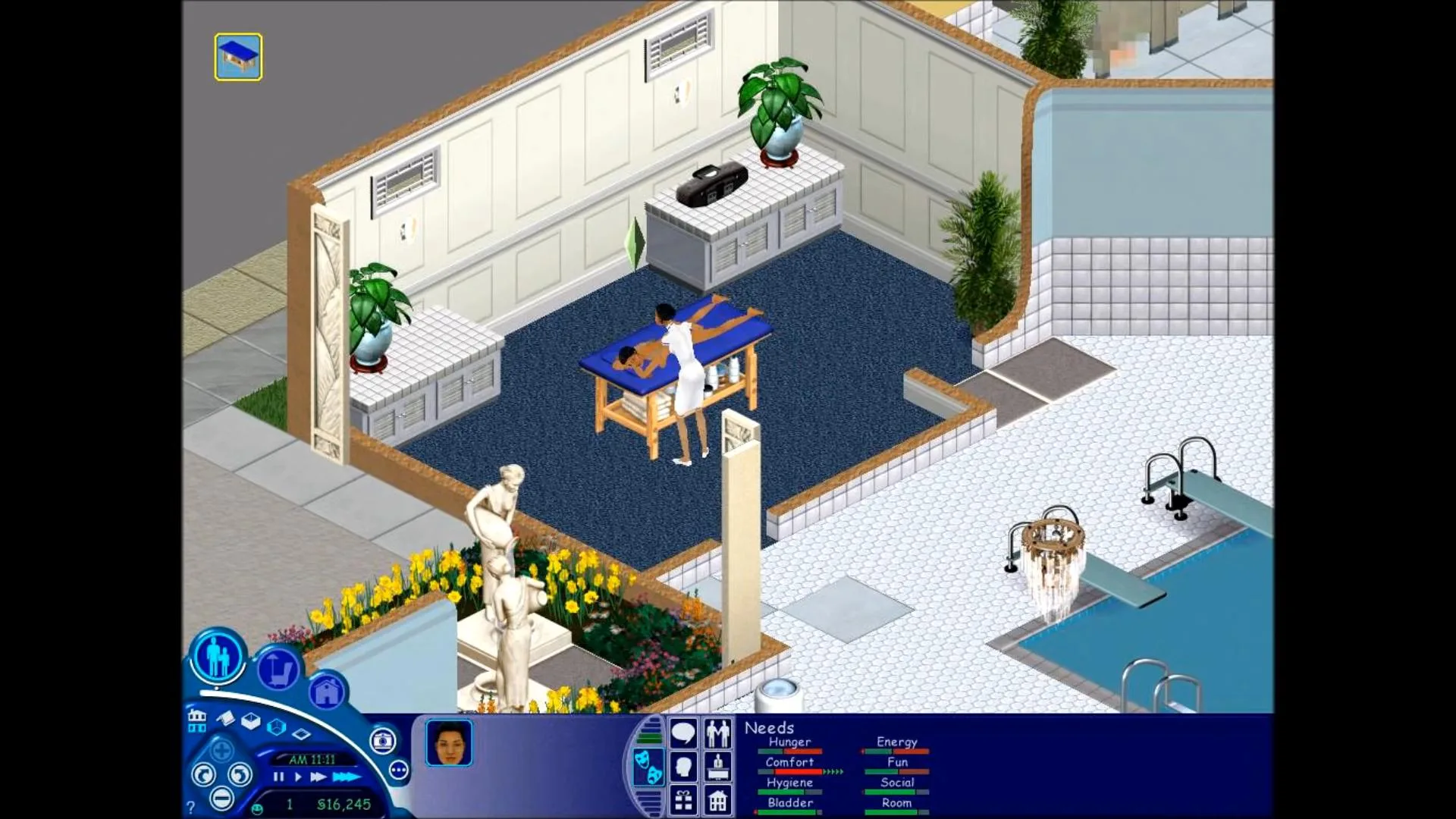 The Sims