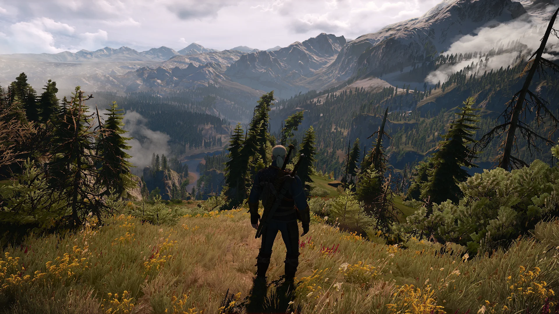 The Witcher 3: Wild Hunt