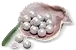 900 Echo Beads
