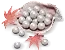 3000 Echo Beads