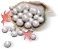 6000 Echo Beads