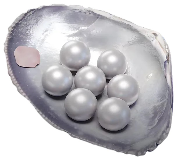 300 Echo Beads