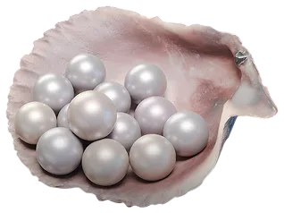 1800 Echo Beads