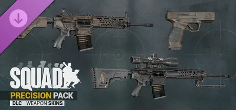 Squad Weapon Skins - Precision Strike Pack (DLC)