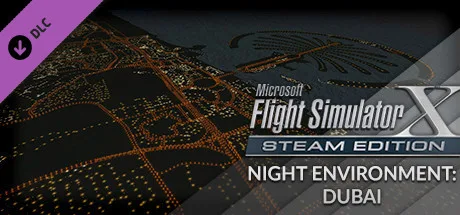 FSX Steam Edition: Night Environment: Dubai Add-On (DLC)